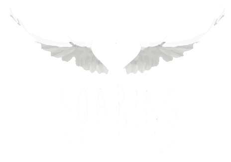 Soaring Argentina