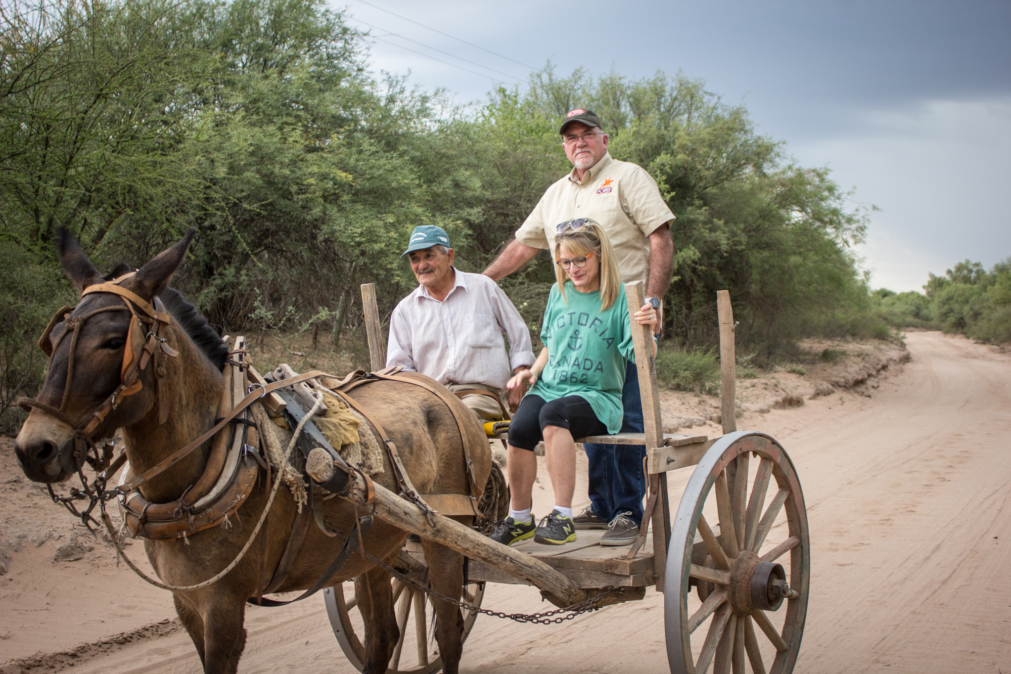 Family on Horse Pulled Cart in Cordoba City, Argentina Editorial Stock  Photo - Image of neighborhood, family: 192831243